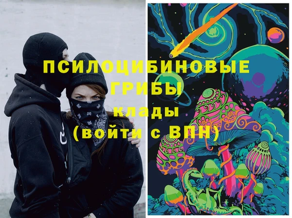 хмурый Гусь-Хрустальный