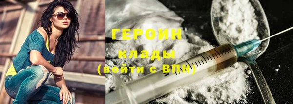 хмурый Кедровый