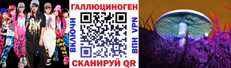 Псилоцибиновые грибы Psilocybine cubensis  гидра ONION  Кувшиново  хочу  
